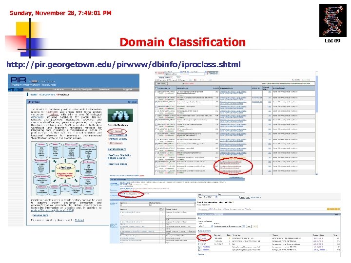 Sunday, November 28, 7: 49: 01 PM Domain Classification http: //pir. georgetown. edu/pirwww/dbinfo/iproclass. shtml