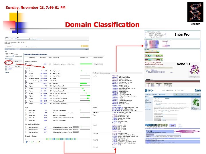 Sunday, November 28, 7: 49: 01 PM Domain Classification Lec 09 Inter. Pro Gene