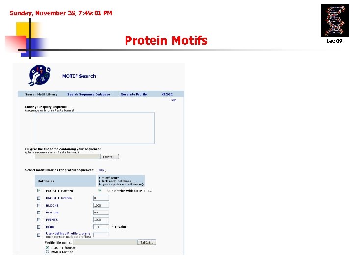 Sunday, November 28, 7: 49: 01 PM Protein Motifs Lec 09 