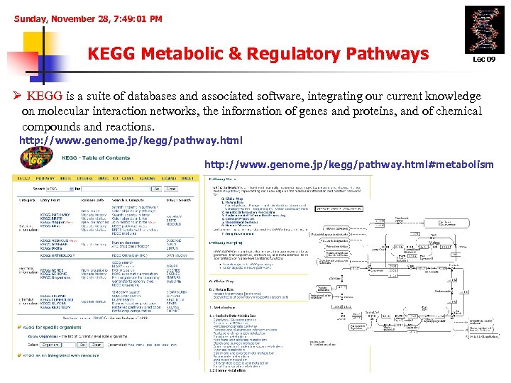 Sunday, November 28, 7: 49: 01 PM KEGG Metabolic & Regulatory Pathways Lec 09