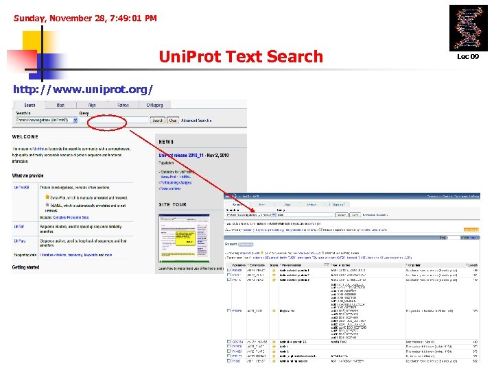 Sunday, November 28, 7: 49: 01 PM Uni. Prot Text Search http: //www. uniprot.