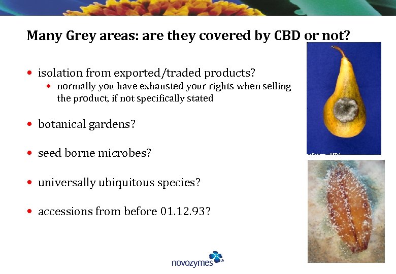 Many Grey areas: are they covered by CBD or not? • isolation from exported/traded