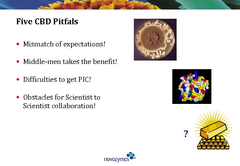 Five CBD Pitfals • Mismatch of expectations! • Middle-men takes the benefit! • Difficulties