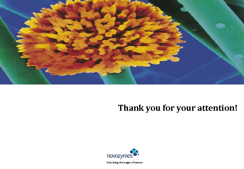 Thank you for your attention! Unlocking the magic of nature 