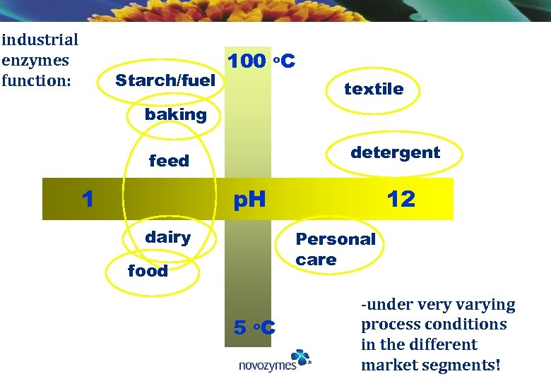 industrial enzymes function: Starch/fuel 100 o. C textile baking detergent feed 1 p. H
