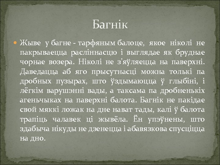 Багнік Жыве у багне - тарфяным балоце, якое ніколі не пакрываецца расліннасцю і выглядае