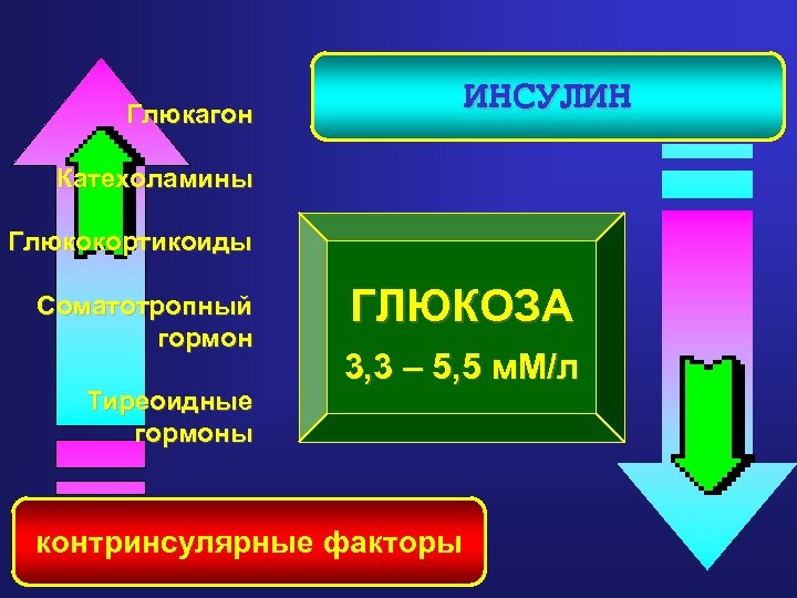 ИНСУЛИН Глюкагон Катехоламины Глюкокортикоиды Соматотропный гормон Тиреоидные гормоны ГЛЮКОЗА 3, 3 – 5, 5