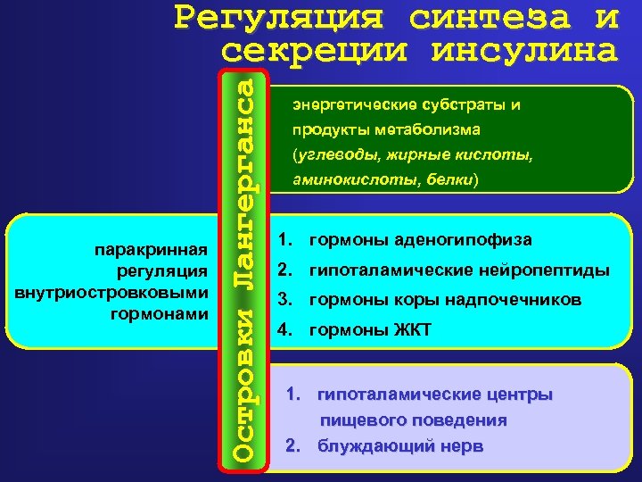 паракринная регуляция внутриостровковыми гормонами Островки Лангерганса Регуляция синтеза и секреции инсулина энергетические субстраты и