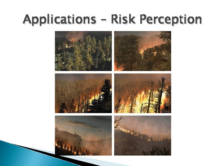 Applications – Risk Perception 