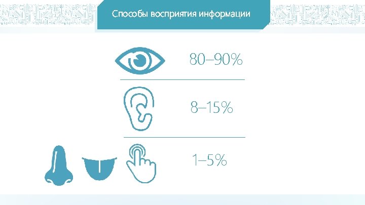 Диаграмма восприятия информации человеком