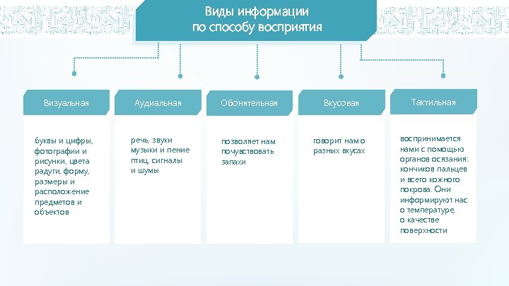 Виды информации по способу восприятия Визуальная Аудиальная Обонятельная Вкусовая Тактильная буквы и цифры, фотографии