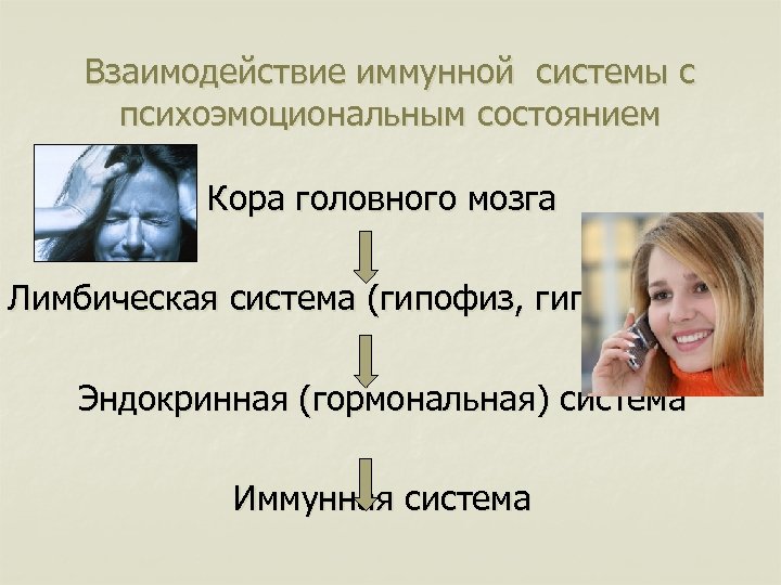 Взаимодействие иммунной системы с психоэмоциональным состоянием Кора головного мозга Лимбическая система (гипофиз, гипоталамус) Эндокринная
