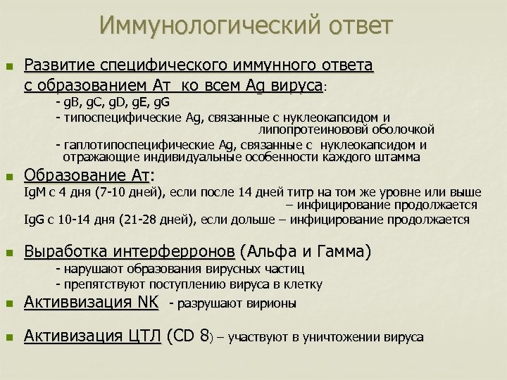 Иммунологический ответ n Развитие специфического иммунного ответа с образованием Ат ко всем Ag вируса: