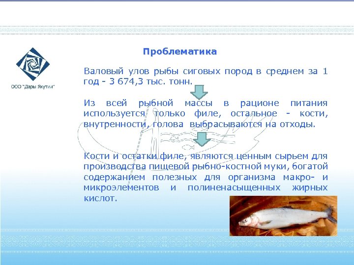 Проблематика Валовый улов рыбы сиговых пород в среднем за 1 год - 3 674,