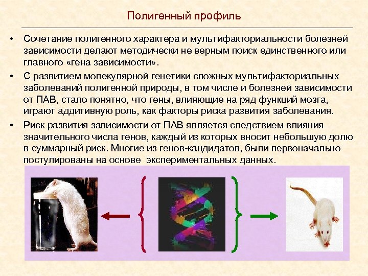 Полигенный профиль • • • Сочетание полигенного характера и мультифакториальности болезней зависимости делают методически
