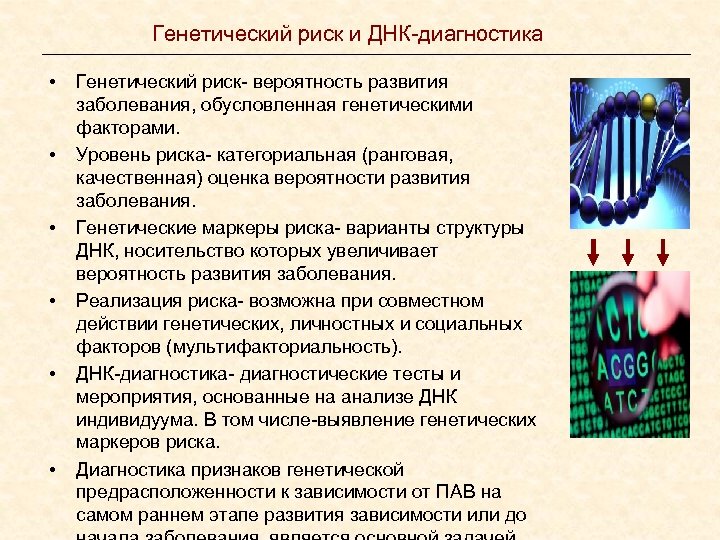 Генетический риск и ДНК-диагностика • • • Генетический риск- вероятность развития заболевания, обусловленная генетическими