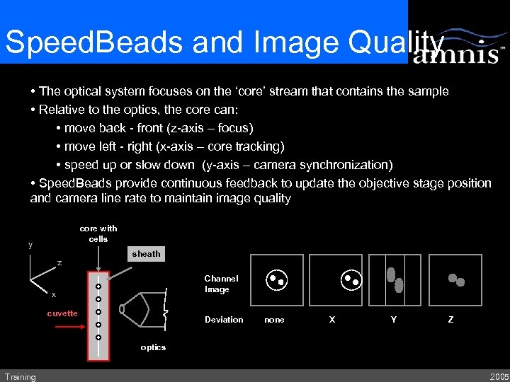 Speed. Beads and Image Quality • The optical system focuses on the ‘core’ stream