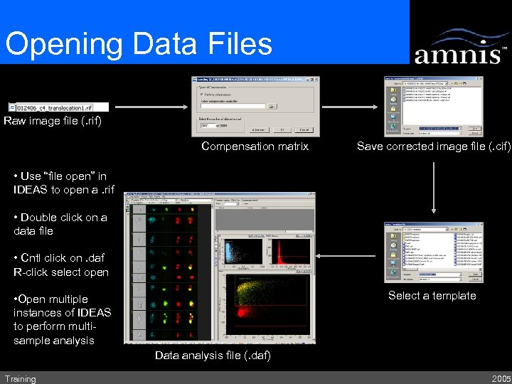 Opening Data Files Raw image file (. rif) Compensation matrix Save corrected image file