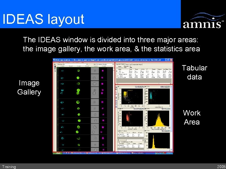 IDEAS layout The IDEAS window is divided into three major areas: the image gallery,