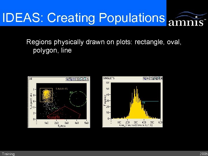 IDEAS: Creating Populations Regions physically drawn on plots: rectangle, oval, polygon, line Training 2005