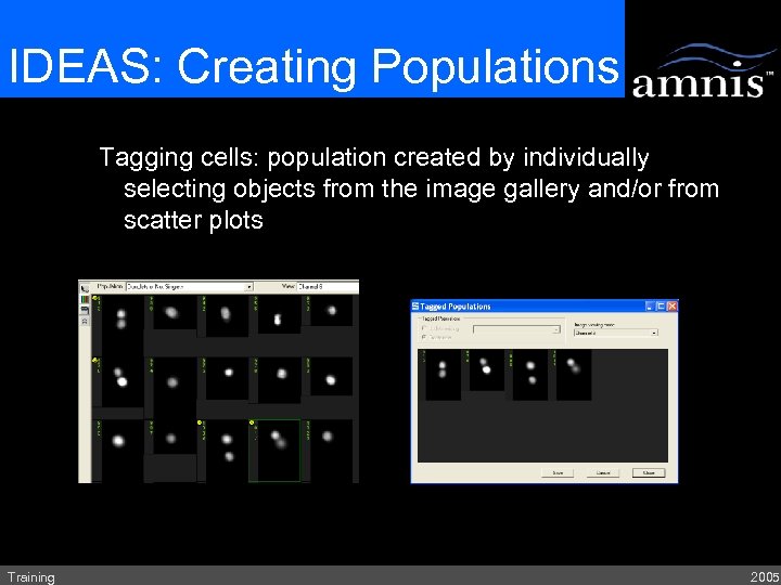 IDEAS: Creating Populations Tagging cells: population created by individually selecting objects from the image