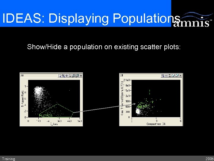 IDEAS: Displaying Populations Show/Hide a population on existing scatter plots: Training 2005 