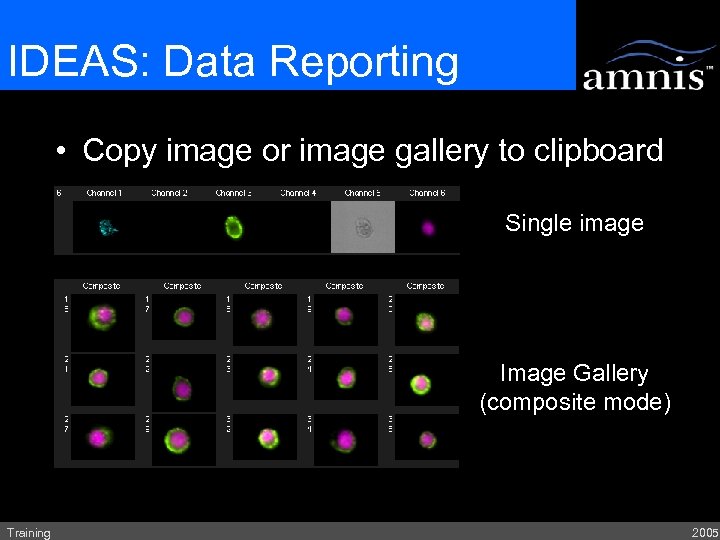 IDEAS: Data Reporting • Copy image or image gallery to clipboard Single image Image