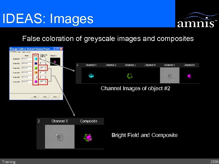 IDEAS: Images False coloration of greyscale images and composites Channel Images of object #2