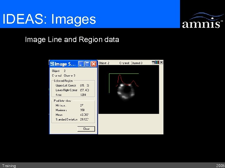 IDEAS: Images Image Line and Region data Training 2005 