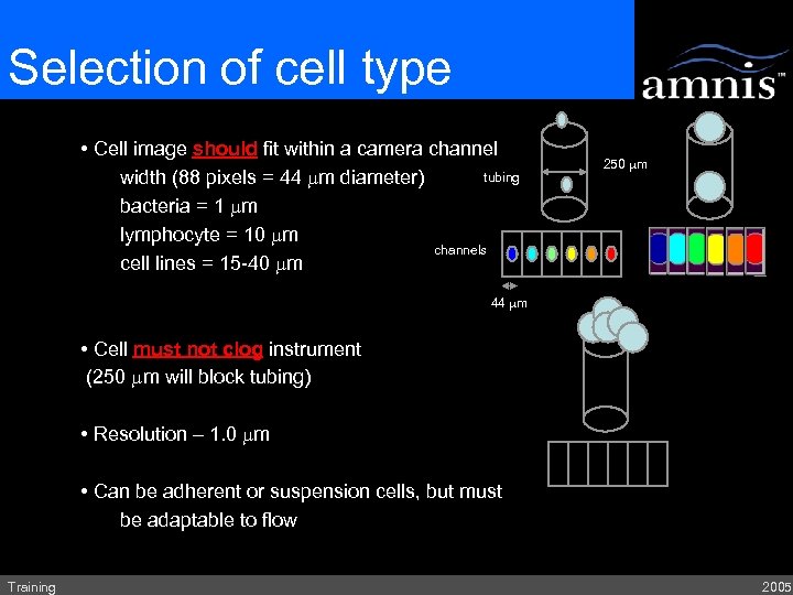 Selection of cell type • Cell image should fit within a camera channel tubing