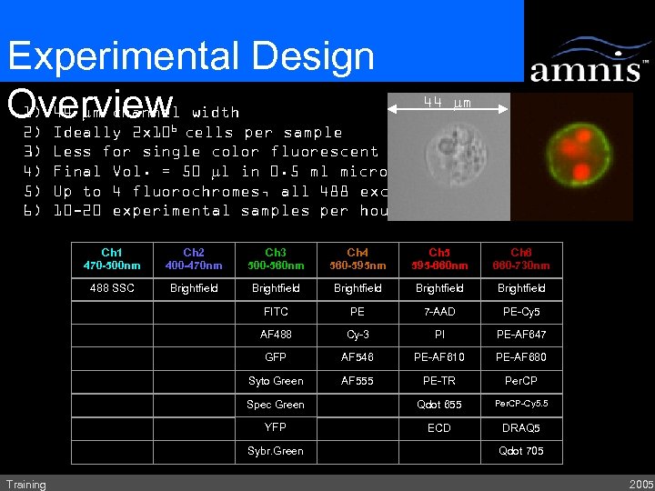Experimental Design 1) 44 mm channel width Overview cells per sample 2) Ideally 2