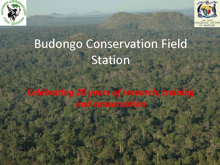 Budongo Conservation Field Station Celebrating 20 years of research, training and conservation 
