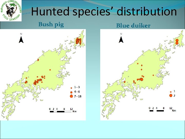 Hunted species’ distribution Bush pig Blue duiker 
