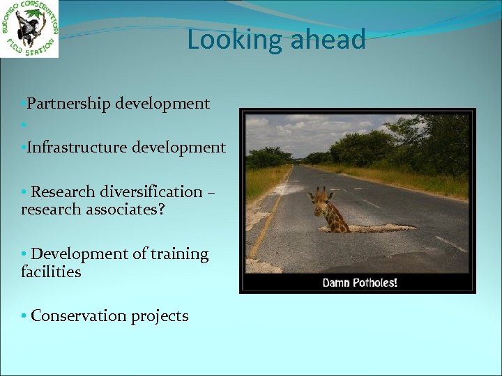 Looking ahead • Partnership development • • Infrastructure development • Research diversification – research
