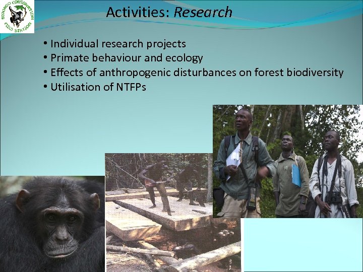 Activities: Research • Individual research projects • Primate behaviour and ecology • Effects of