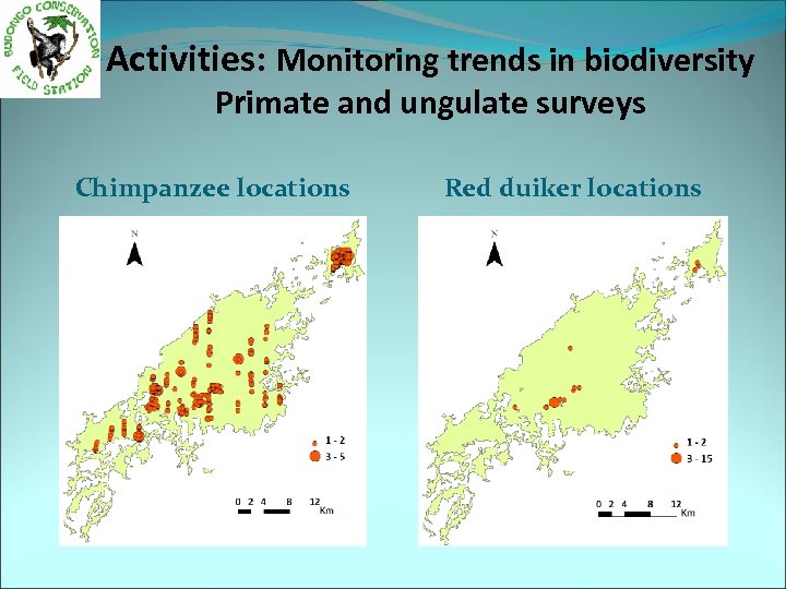 Activities: Monitoring trends in biodiversity Primate and ungulate surveys Chimpanzee locations Red duiker locations