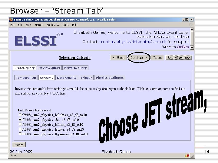 Browser – ‘Stream Tab’ 30 Jan 2009 Elizabeth Gallas 14 