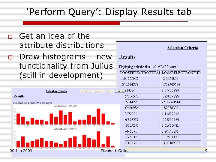 ‘Perform Query’: Display Results tab o o Get an idea of the attribute distributions