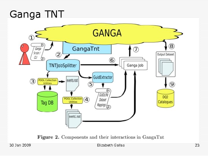 Ganga TNT 30 Jan 2009 Elizabeth Gallas 23 