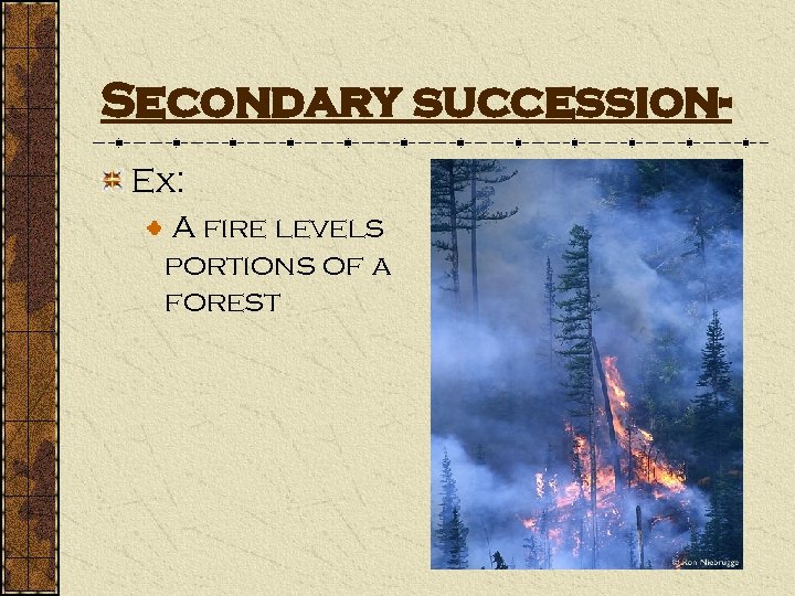 Secondary succession. Ex: A fire levels portions of a forest 