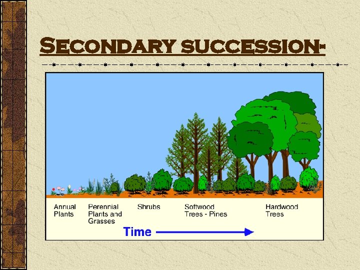 Secondary succession- 