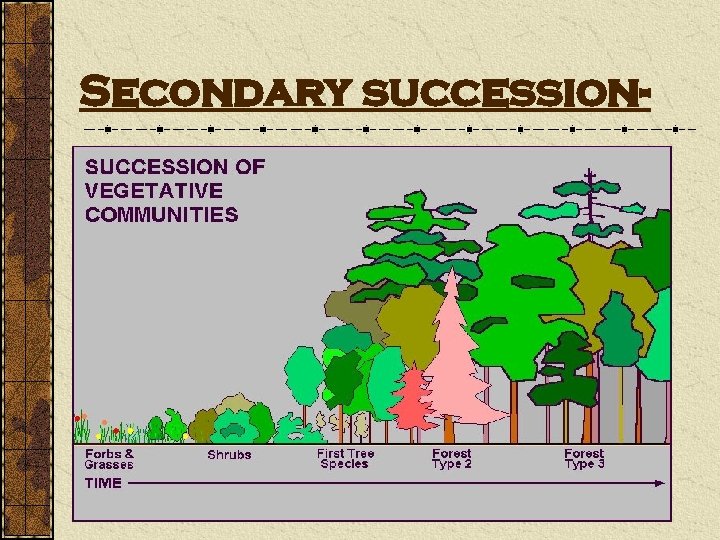 Secondary succession- 