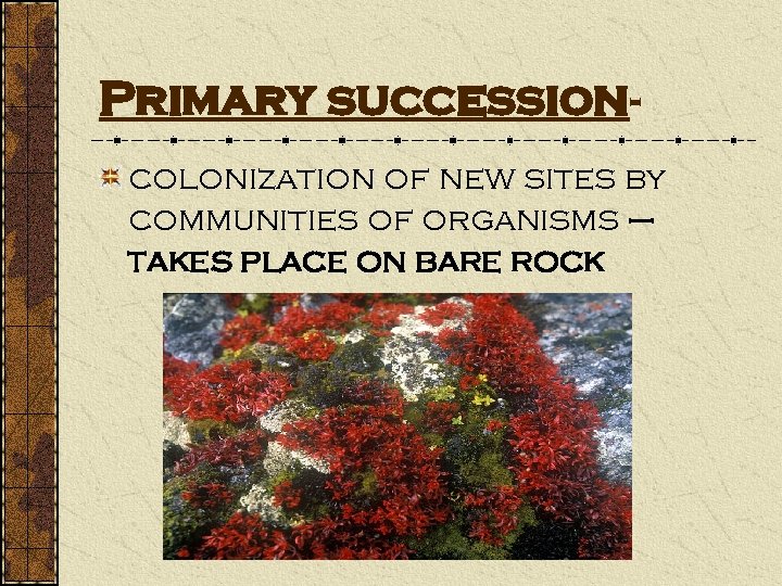 Primary successioncolonization of new sites by communities of organisms – takes place on bare