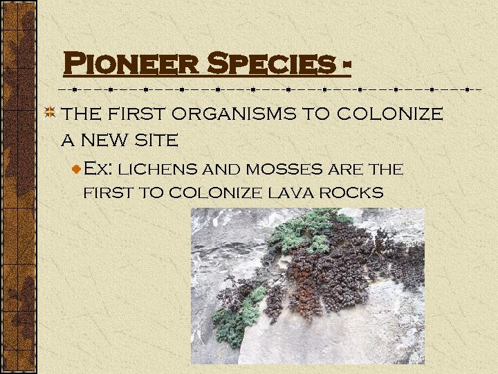 Pioneer Species the first organisms to colonize a new site Ex: lichens and mosses