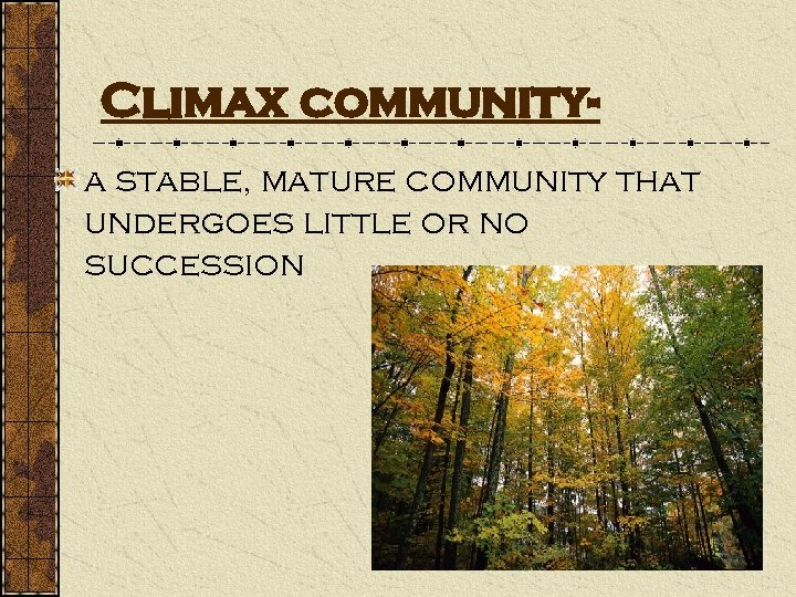 Climax communitya stable, mature community that undergoes little or no succession 