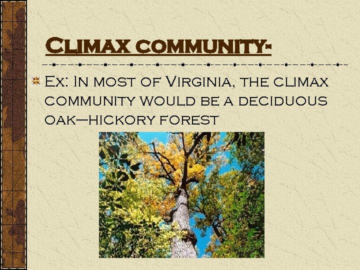 Climax community. Ex: In most of Virginia, the climax community would be a deciduous