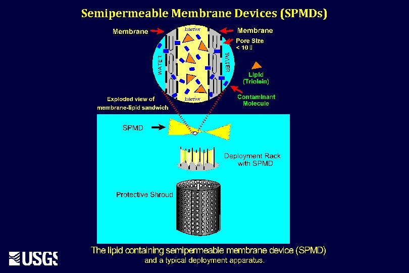 Semipermeable Membrane Devices (SPMDs) 