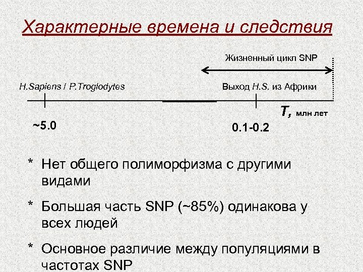 Характерные времена и следствия Жизненный цикл SNP H. Sapiens / P. Troglodytes ~5. 0