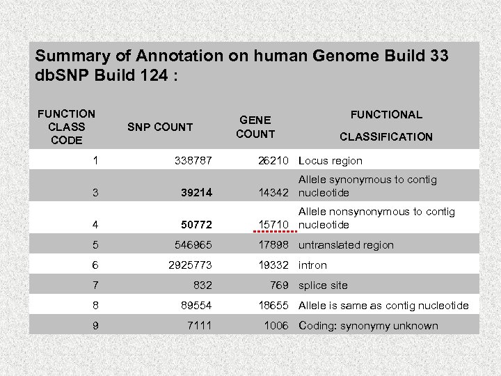 Summary of Annotation on human Genome Build 33 db. SNP Build 124 : FUNCTION