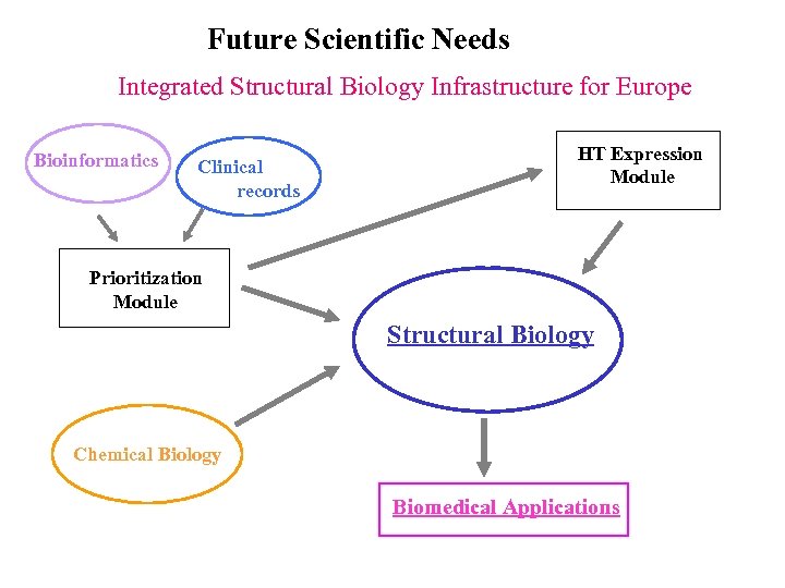 Future Scientific Needs Integrated Structural Biology Infrastructure for Europe Bioinformatics Clinical records HT Expression